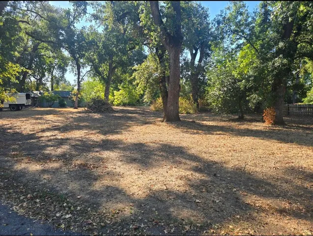 a view of road and trees