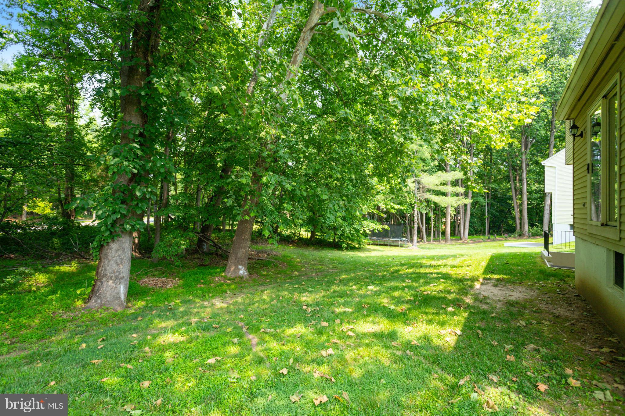 15108 Plum Tree Way Bowie, MD 20721 - Photo 8 of 51 a backyard of a house with plants and large tree