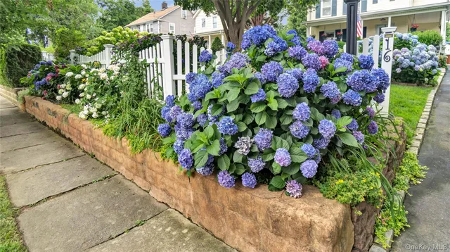 a view of a pathway of house with potted plants