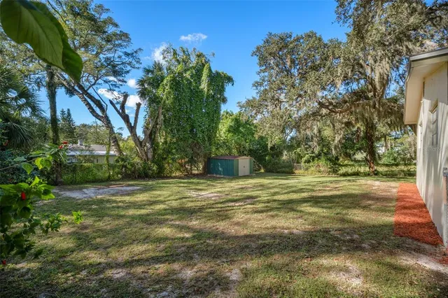 a big yard with trees