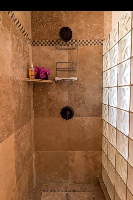 17 Holopuni Road Kula, HI 96790 - Photo 17 of 30 a bathroom with a shower