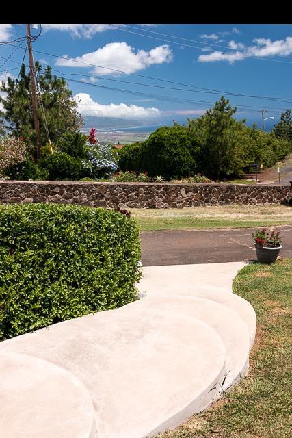 17 Holopuni Road Kula, HI 96790 - Photo 30 of 30 a view of a backyard