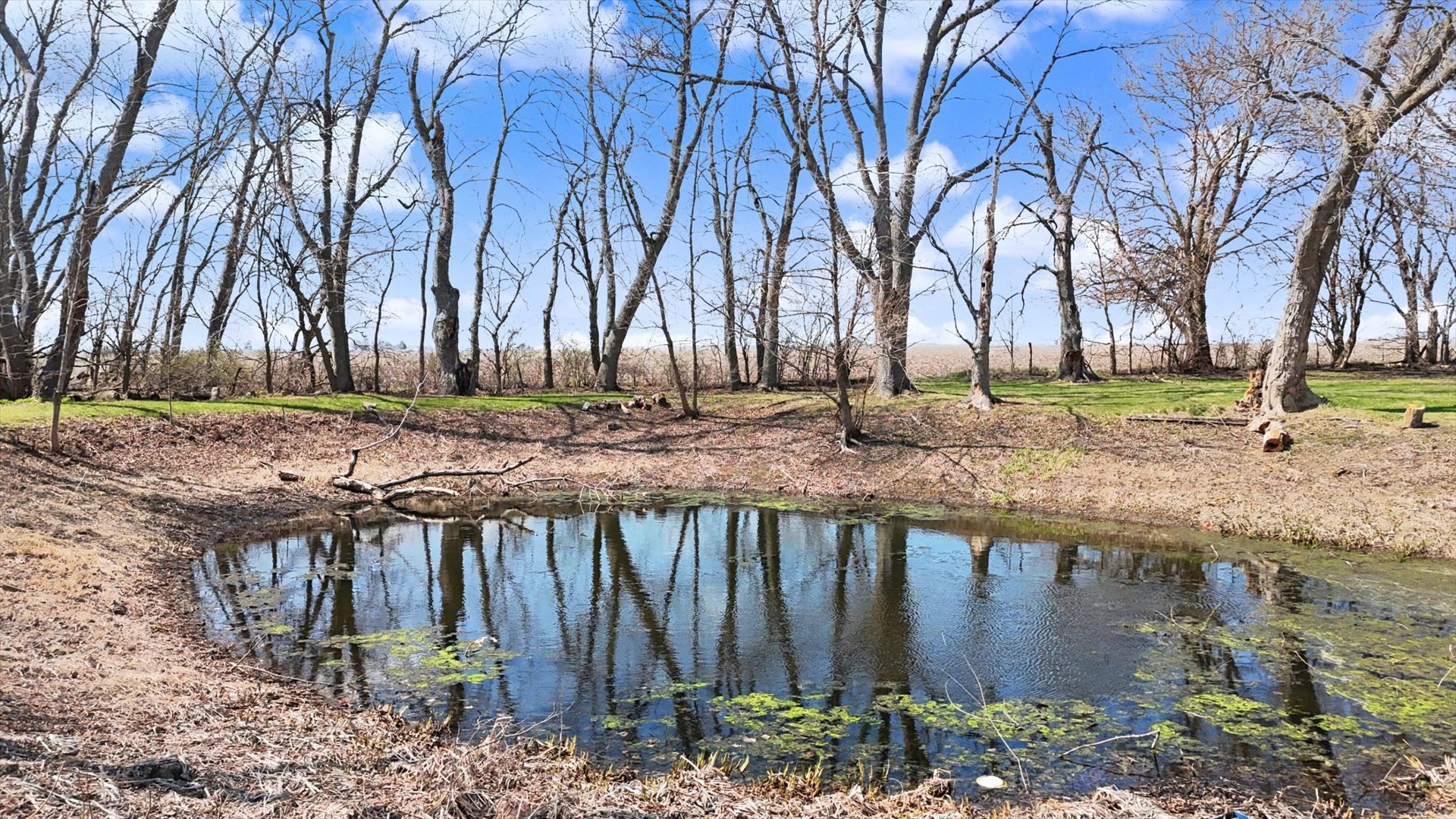 3055 County Road 1200 East Rantoul, IL 61866 - Photo 50 of 55