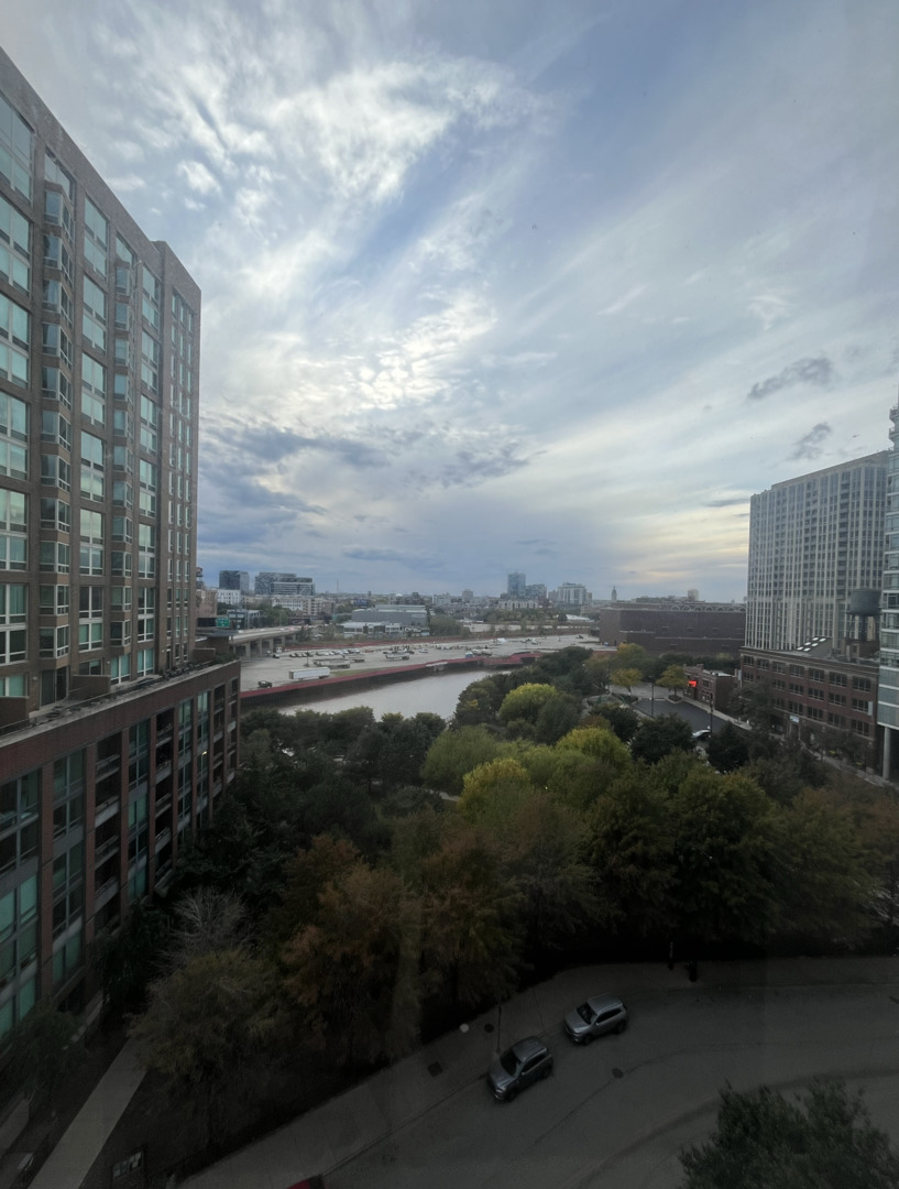 645 North Kingsbury Street, Unit 1002 Chicago, IL 60654 - Photo 11 of 11 a view of a balcony with an outdoor space