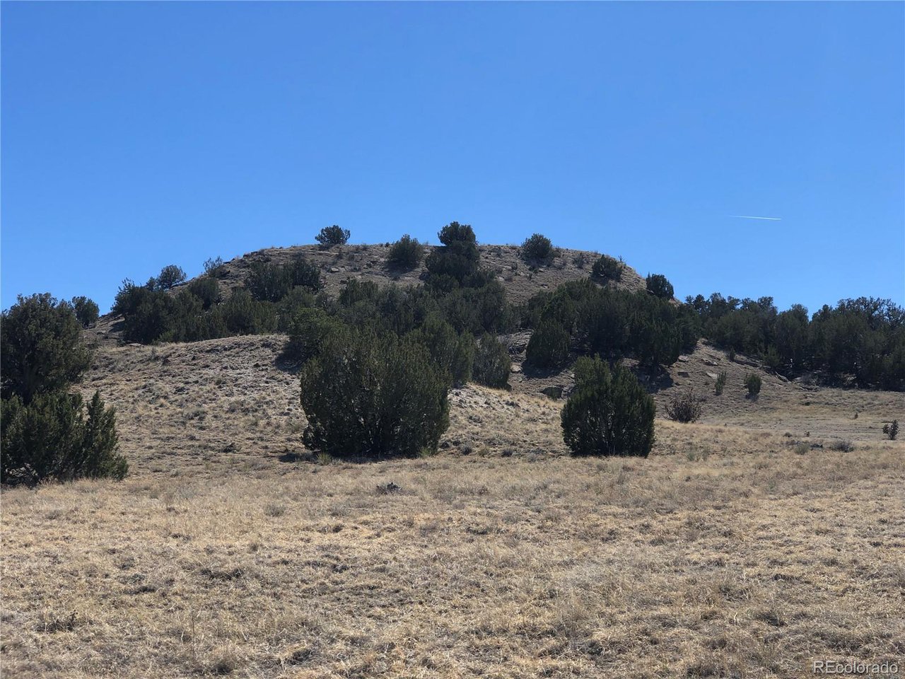 10 Longhorn Ranch Model, CO 81059 - Photo 1 of 4 a view of a dry field with trees in the background