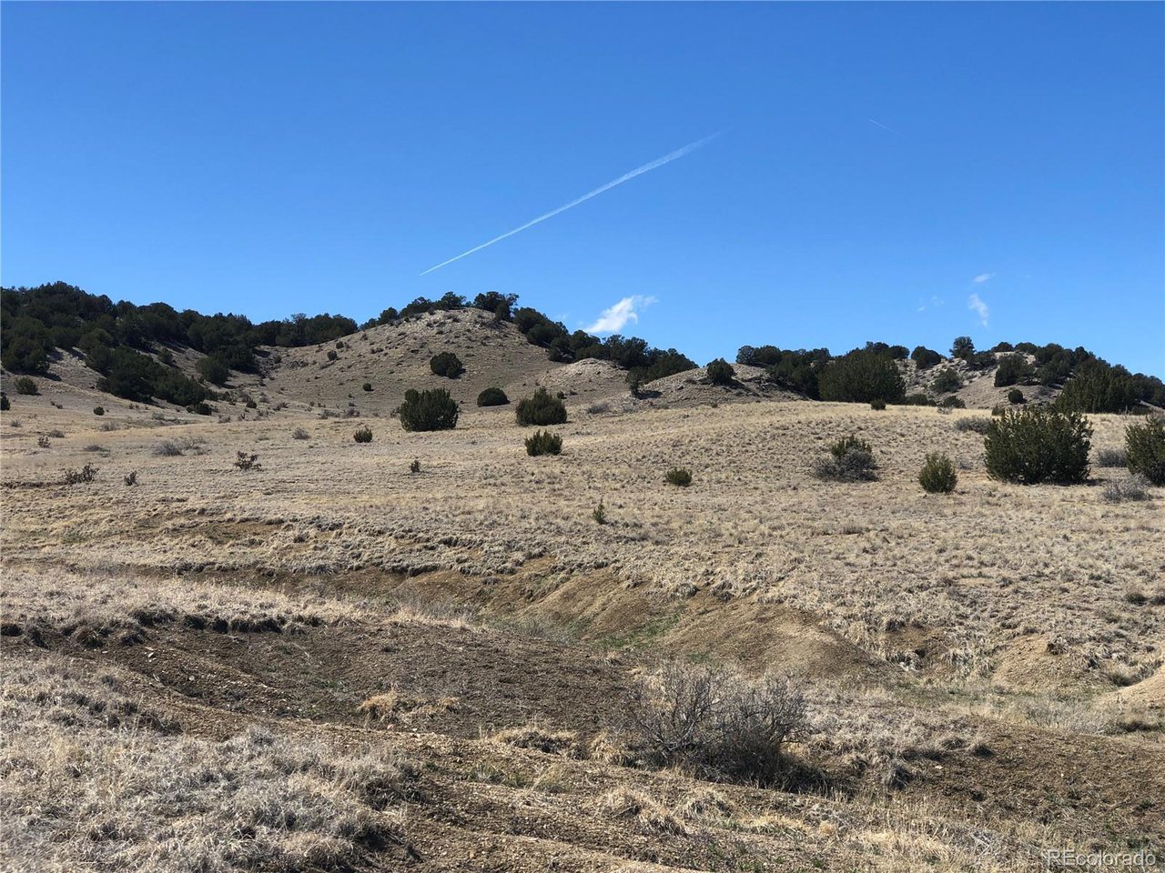 10 Longhorn Ranch Model, CO 81059 - Photo 3 of 4 a view of ocean view with beach