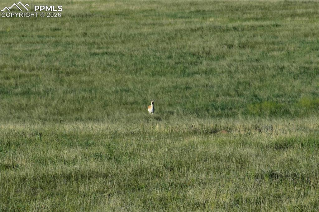 9545 Yoder Road Calhan, CO 80808 - Photo 9 of 9