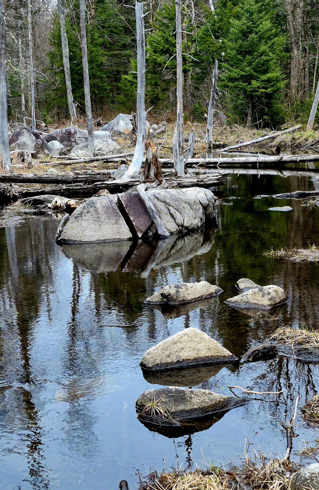 Lot 7 Morrison Brook Road Oakfield, ME 04763 - Photo 23 of 32 20250506_180803