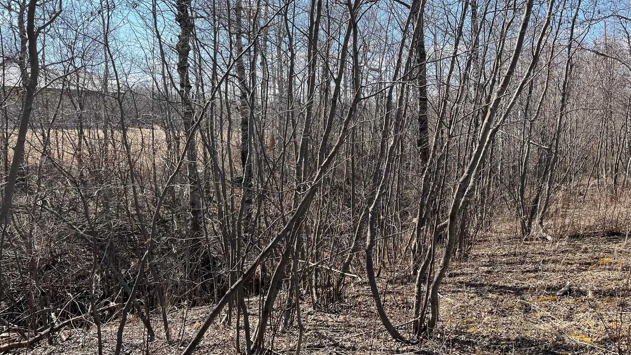 1209 39th Avenue East Superior, WI 54880 - Photo 3 of 13 View of landscape
