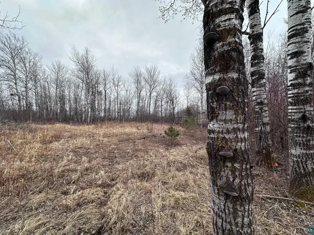 $42,000 | 1209 39th Avenue East, Superior, WI 54880