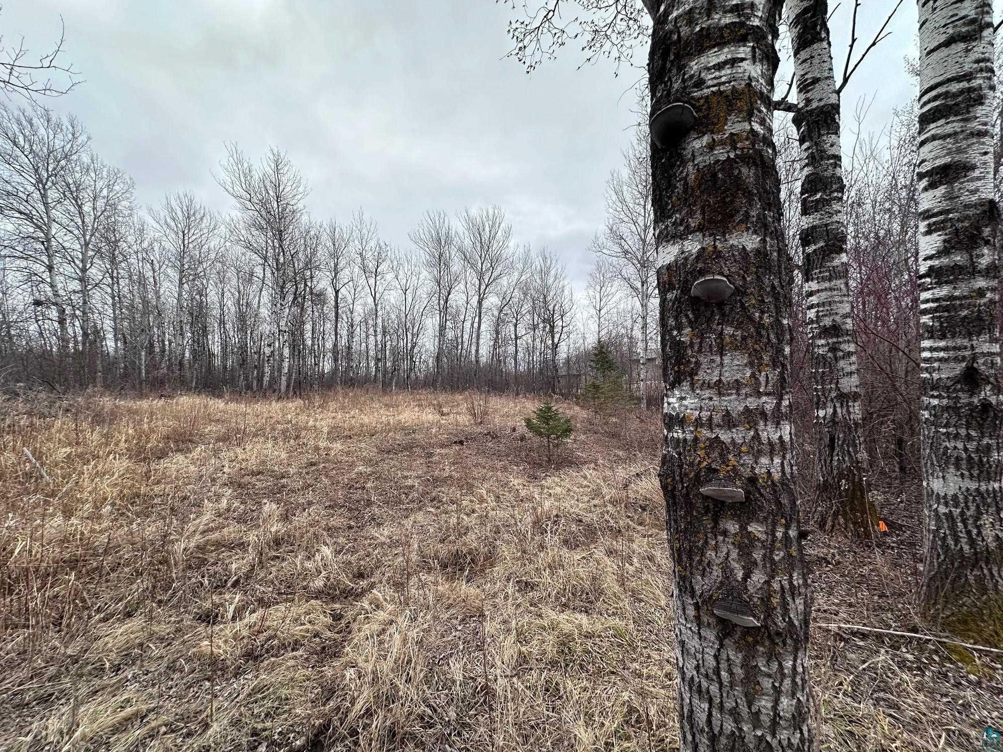 1209 39th Avenue East Superior, WI 54880 - Photo 5 of 13