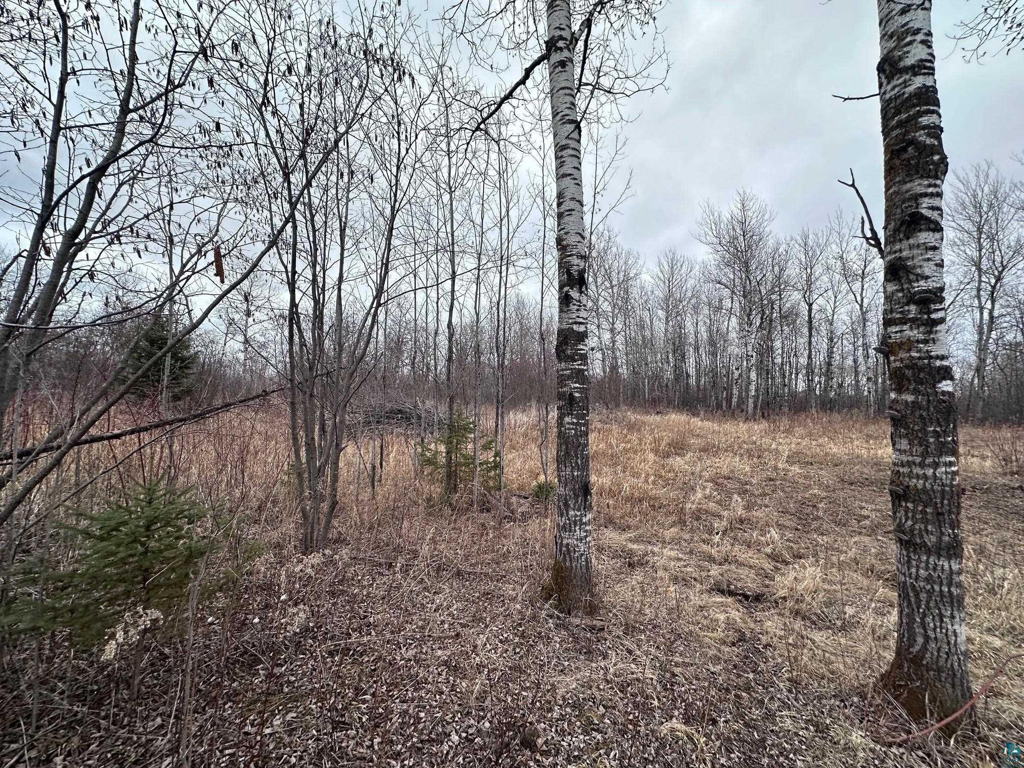 1209 39th Avenue East Superior, WI 54880 - Photo 6 of 13