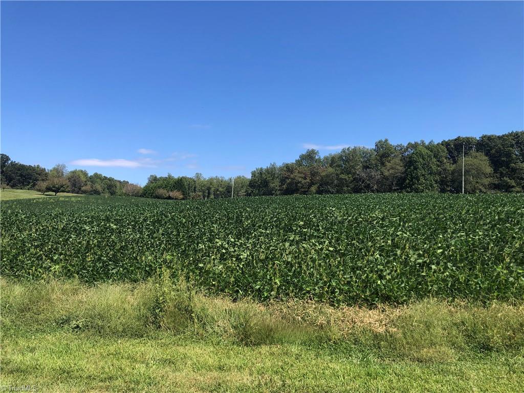 1217 Cox Mill Road Yadkinville, NC 27055 - Photo 8 of 9