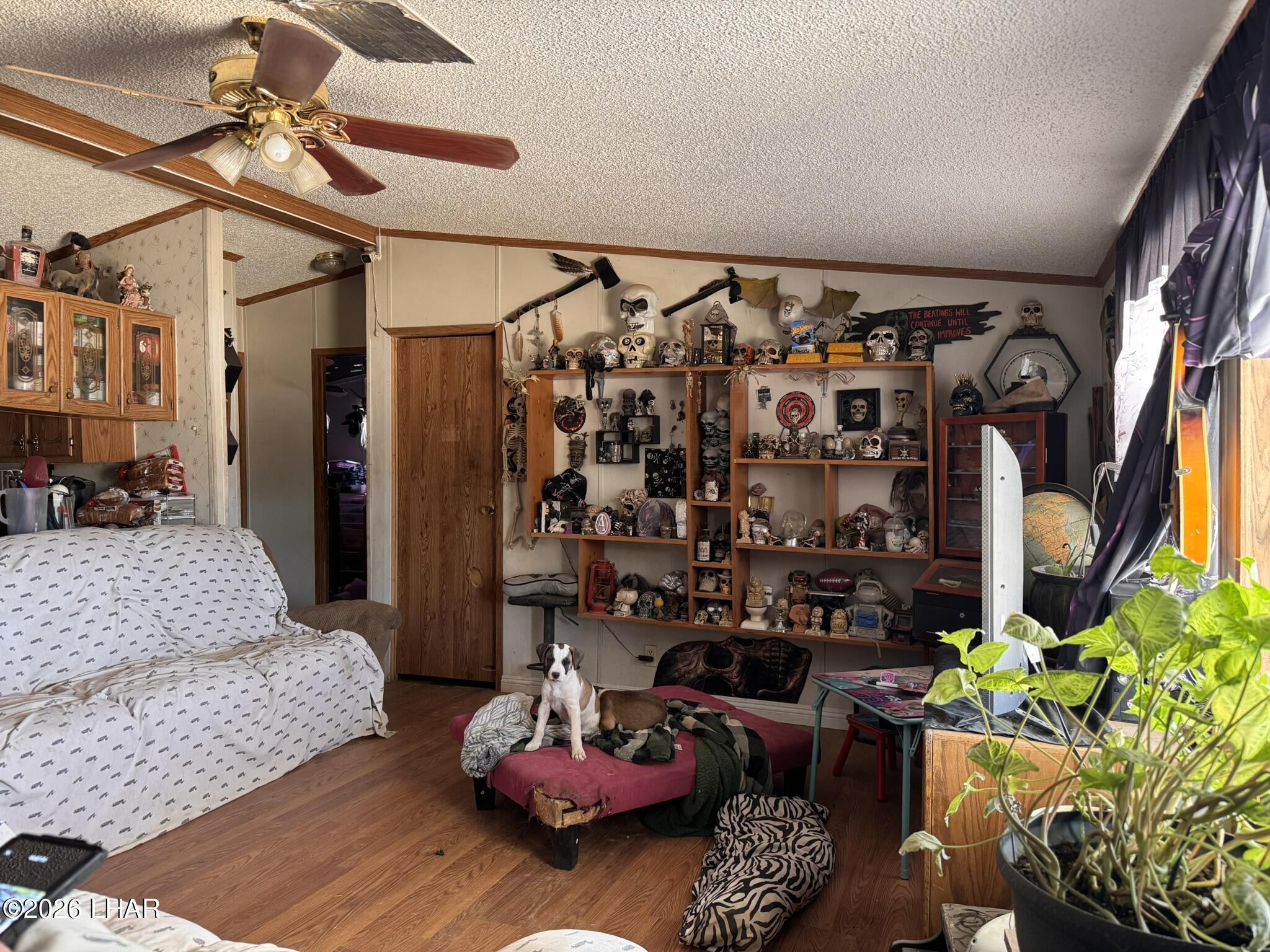 69896 Salome Road Salome, AZ 85348 - Photo 3 of 19 a bedroom with furniture and a potted plant