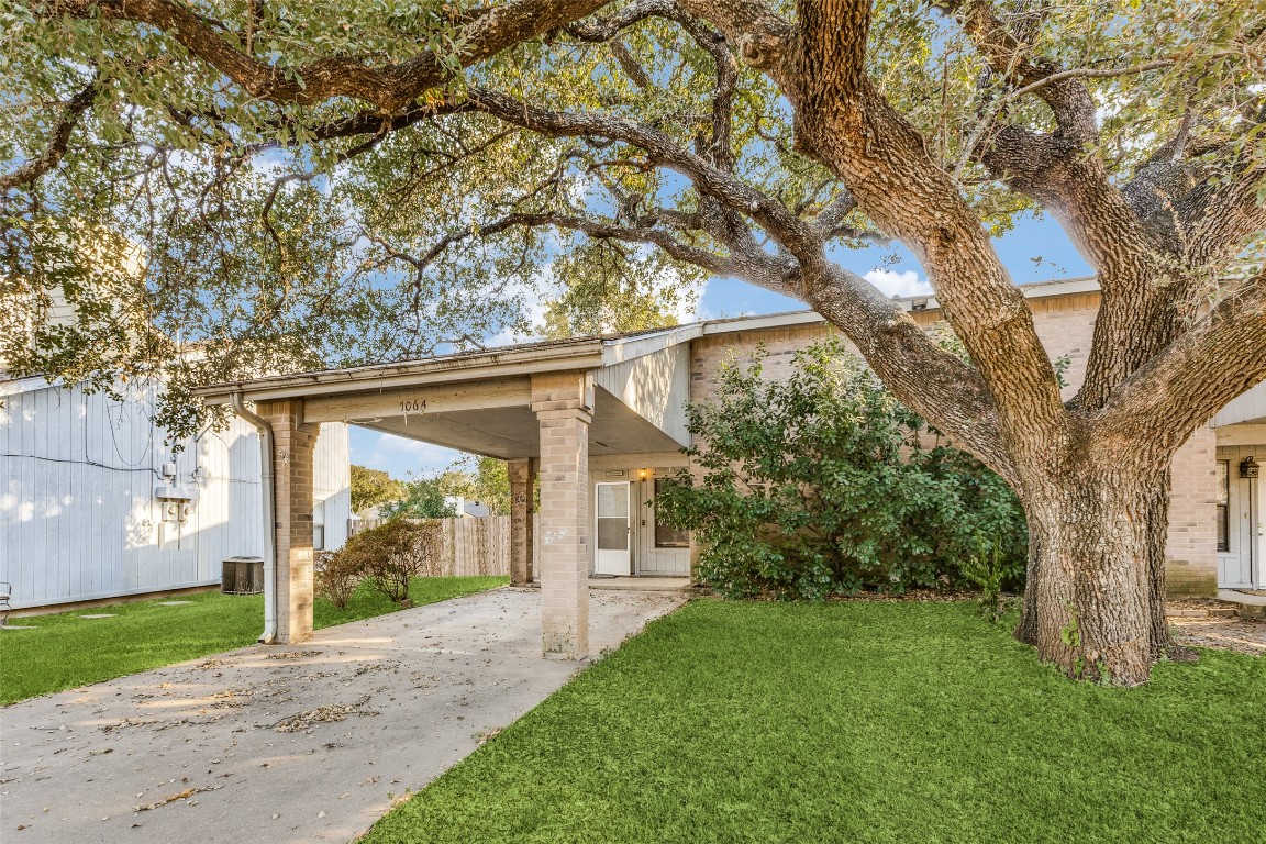 a view of a house with a tree in front of it