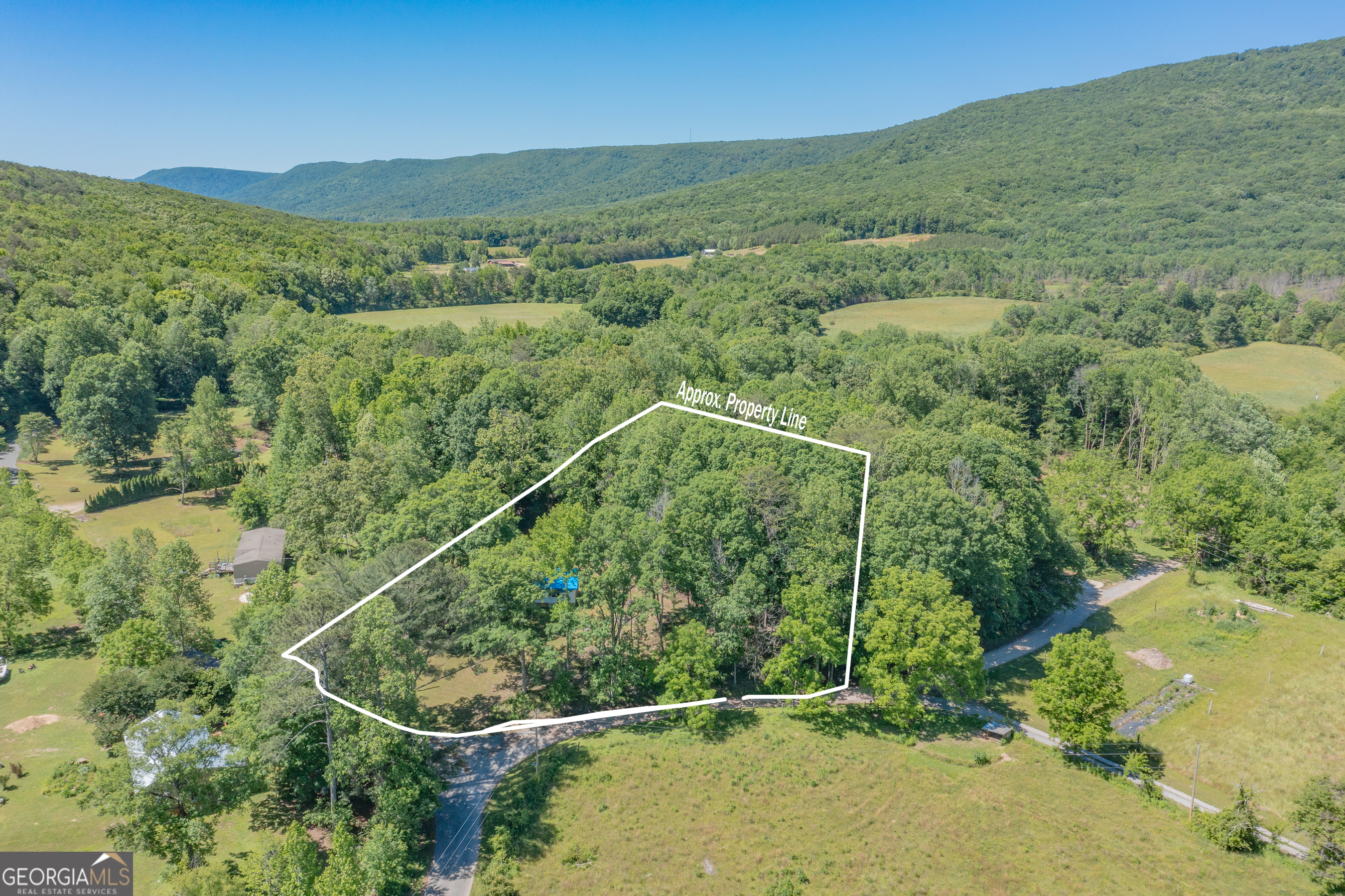 1004 Crow Gap Road Chickamauga, GA 30707 - Photo 5 of 36 a view of a forest with a mountain