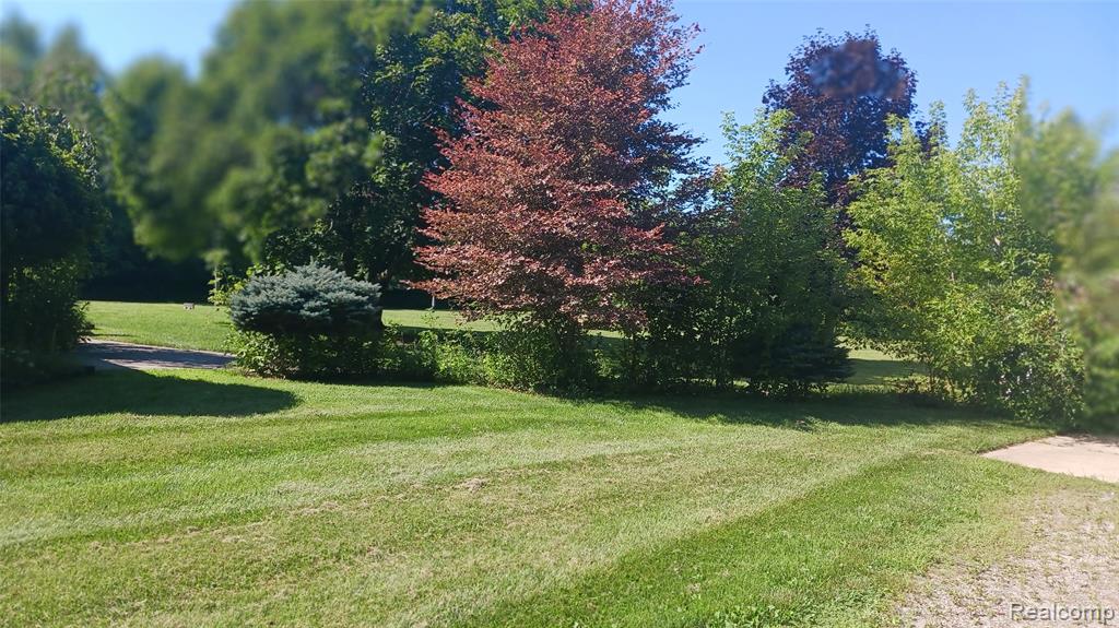 3803 Warner Road Cass City, MI 48726 - Photo 8 of 85