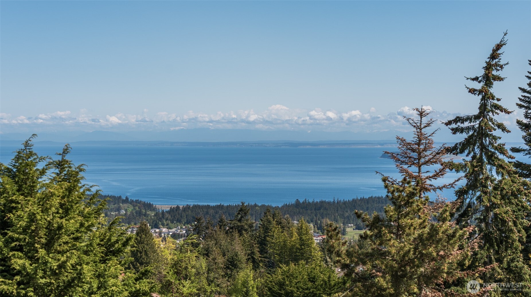 113 Quails Roost Road Sequim, WA 98382 - Photo 11 of 40