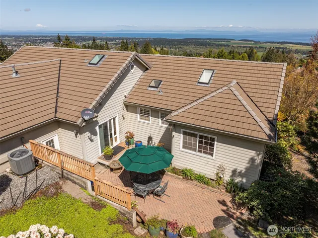 a view of a garden with plants and trees