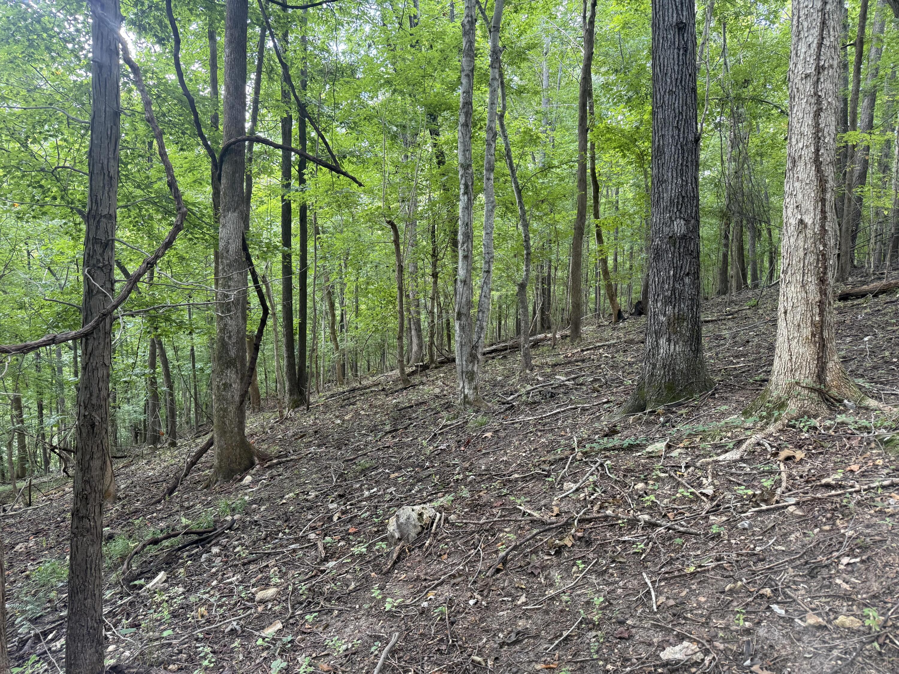 0 Perry Springs Road Eddyville, KY 42038 - Photo 30 of 41 26