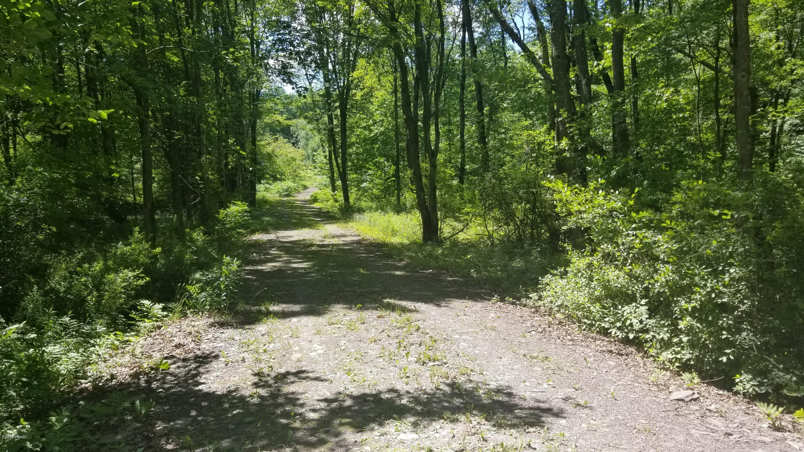 393 Duck Harbor Road Equinunk, PA 18417 - Photo 6 of 13 Private Driveway