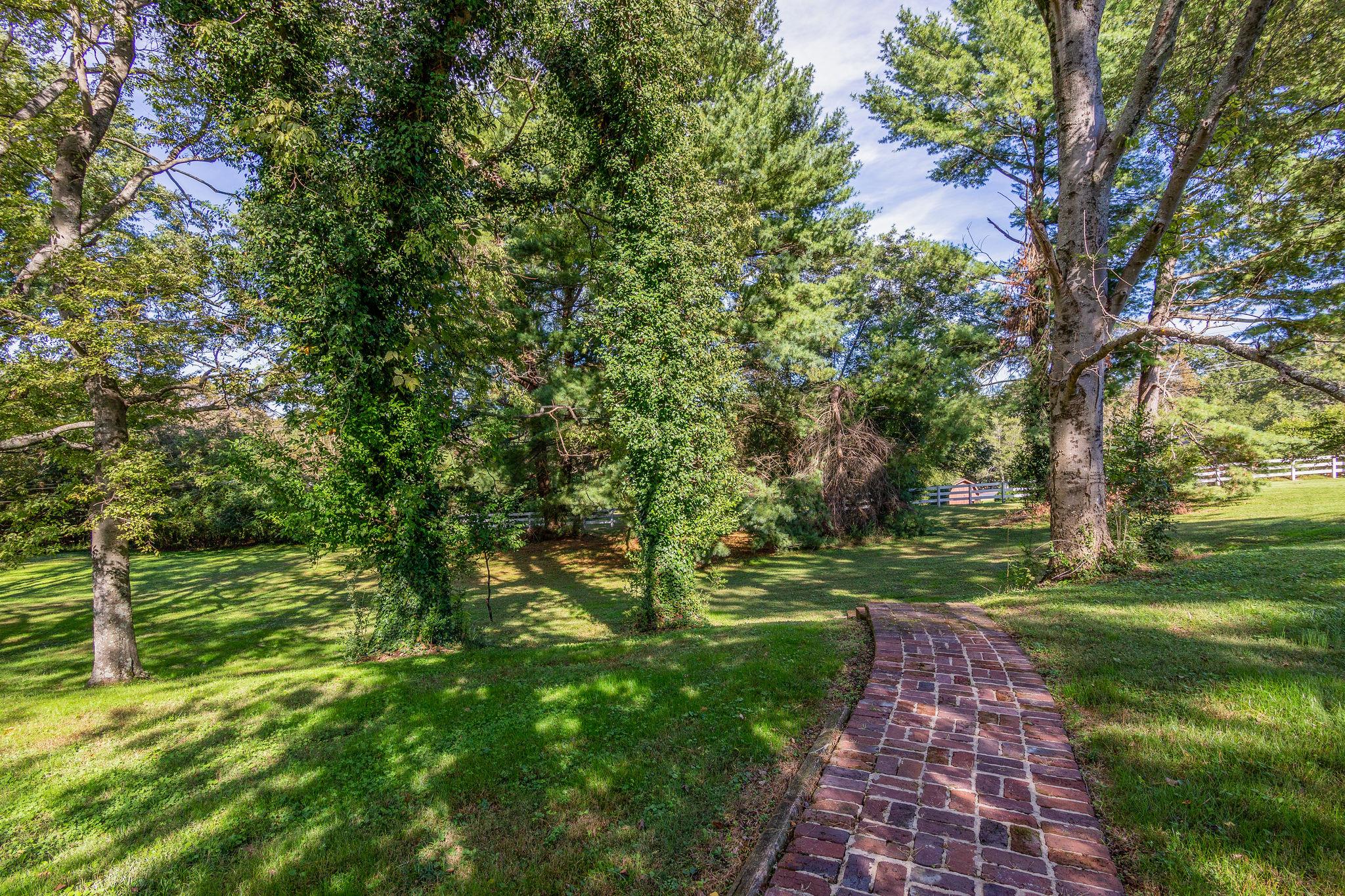 1109 Manor Road Columbia, TN 38401 - Photo 23 of 25 Park like back yard.....