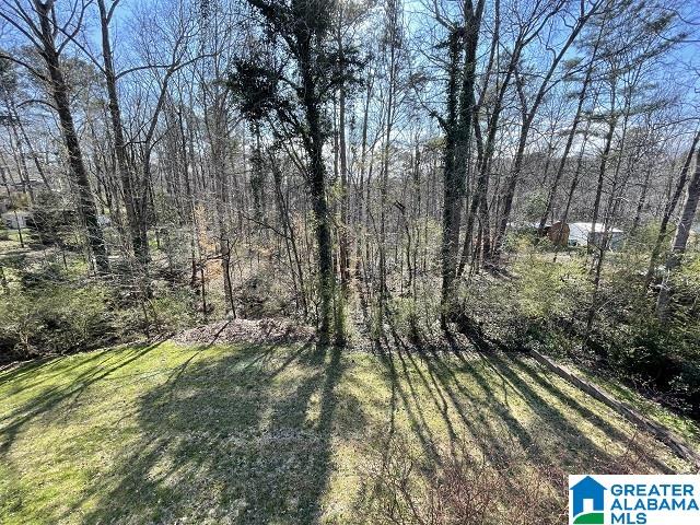 5334 Bluff View Road Mount Olive, AL 35117 - Photo 36 of 39