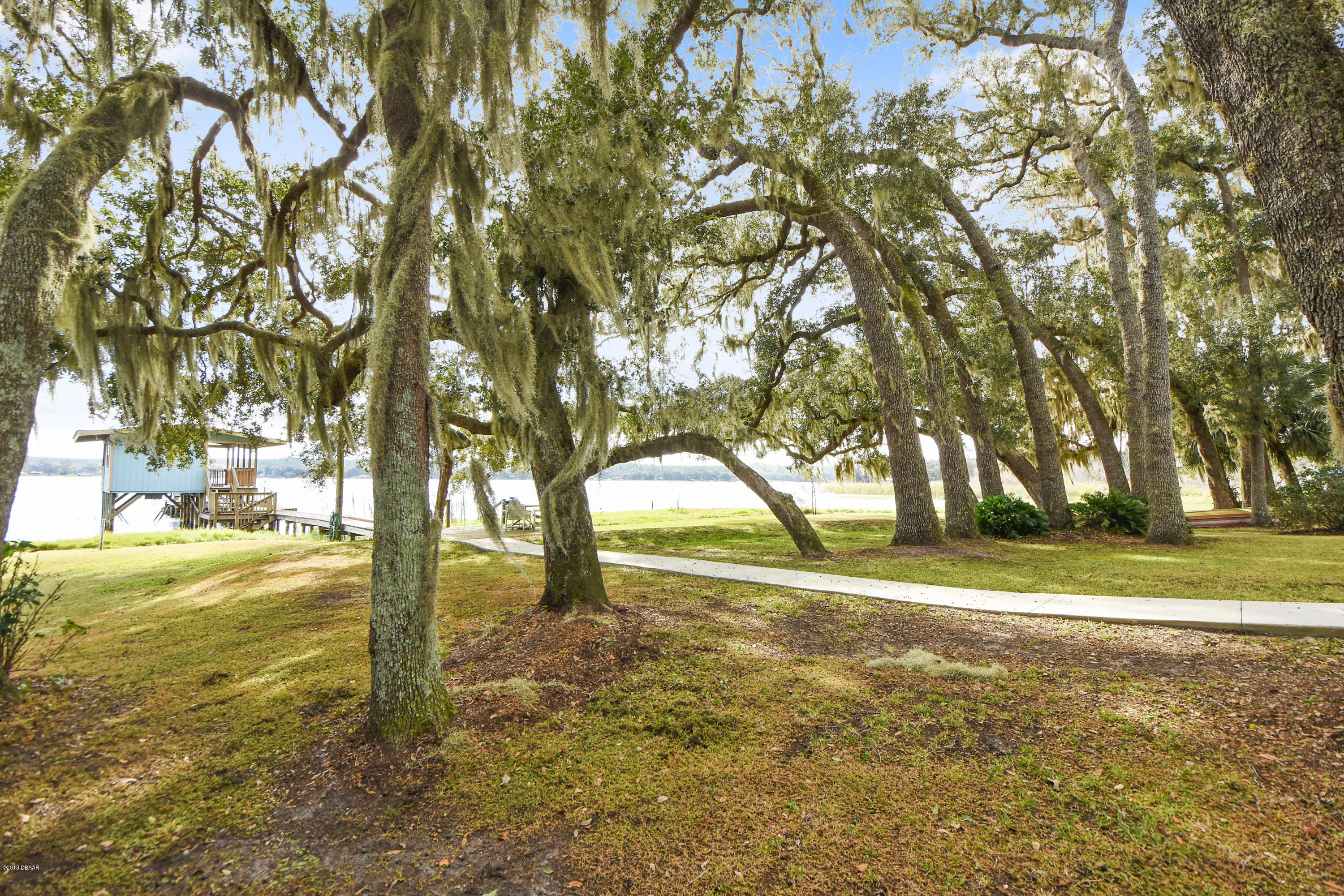 14360 Northeast 209th Terrace Road Salt Springs, FL 32134 - Photo 20 of 32 DSC_9010