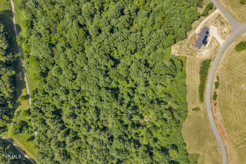 Lot 30 Eagle Rdg Parkway, Unit 30 Butler, TN 37640 - Photo 4 of 28 2-web-or-mls-DJI_20260605115946_0024_D