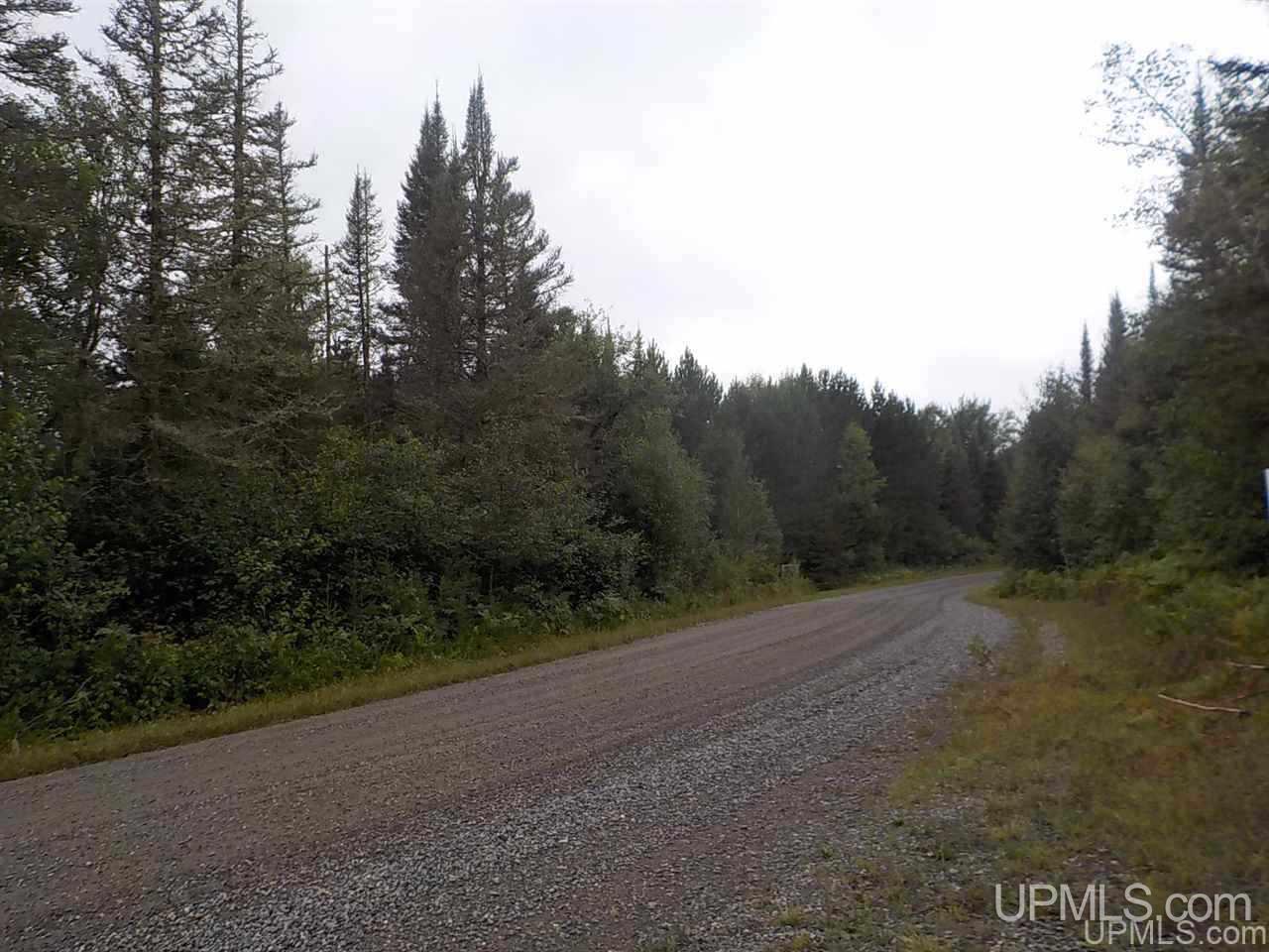 196.2-ac East Cable Lake Road Crystal Falls, MI 49920 - Photo 14 of 17