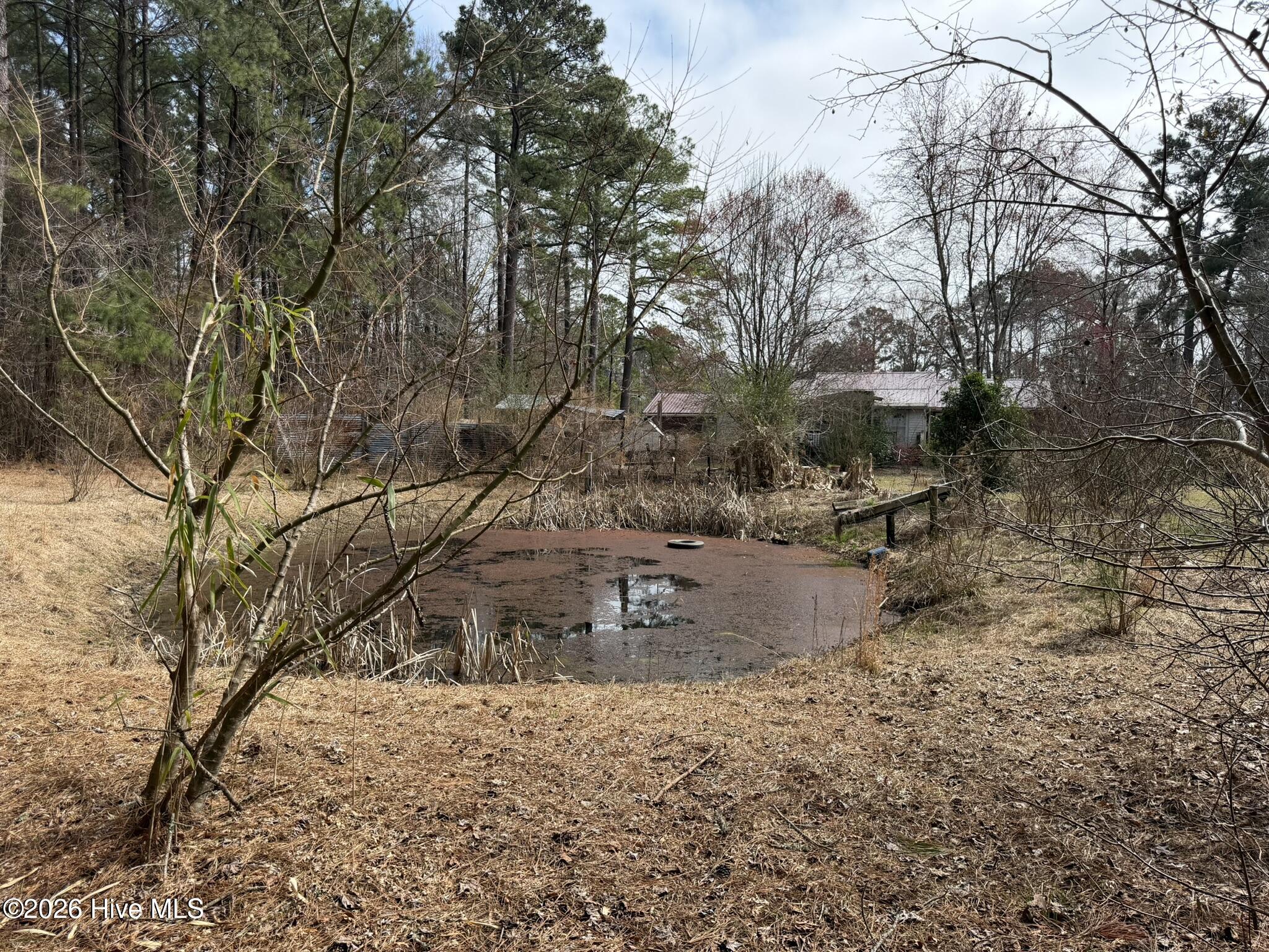 3414 Possum Hill Road Bath, NC 27808 - Photo 15 of 22 IMG_0155
