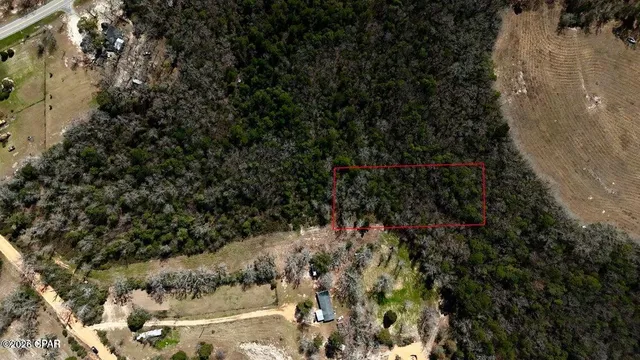 $25,000 | 0 Petty Road, Westville, FL 32464
