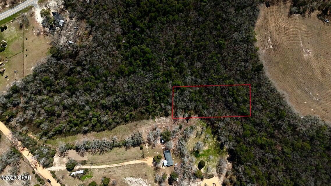 0 Petty Road Westville, FL 32464 - Photo 1 of 1