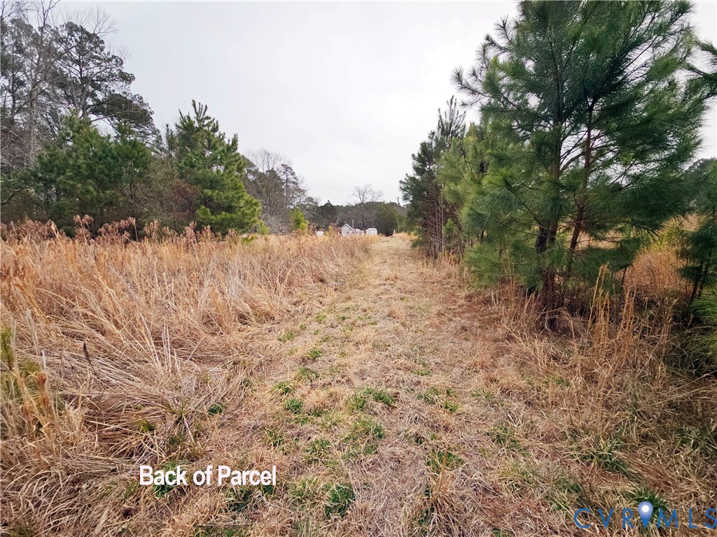 3066 Bethel Beach Road Onemo, VA 23130 - Photo 33 of 45