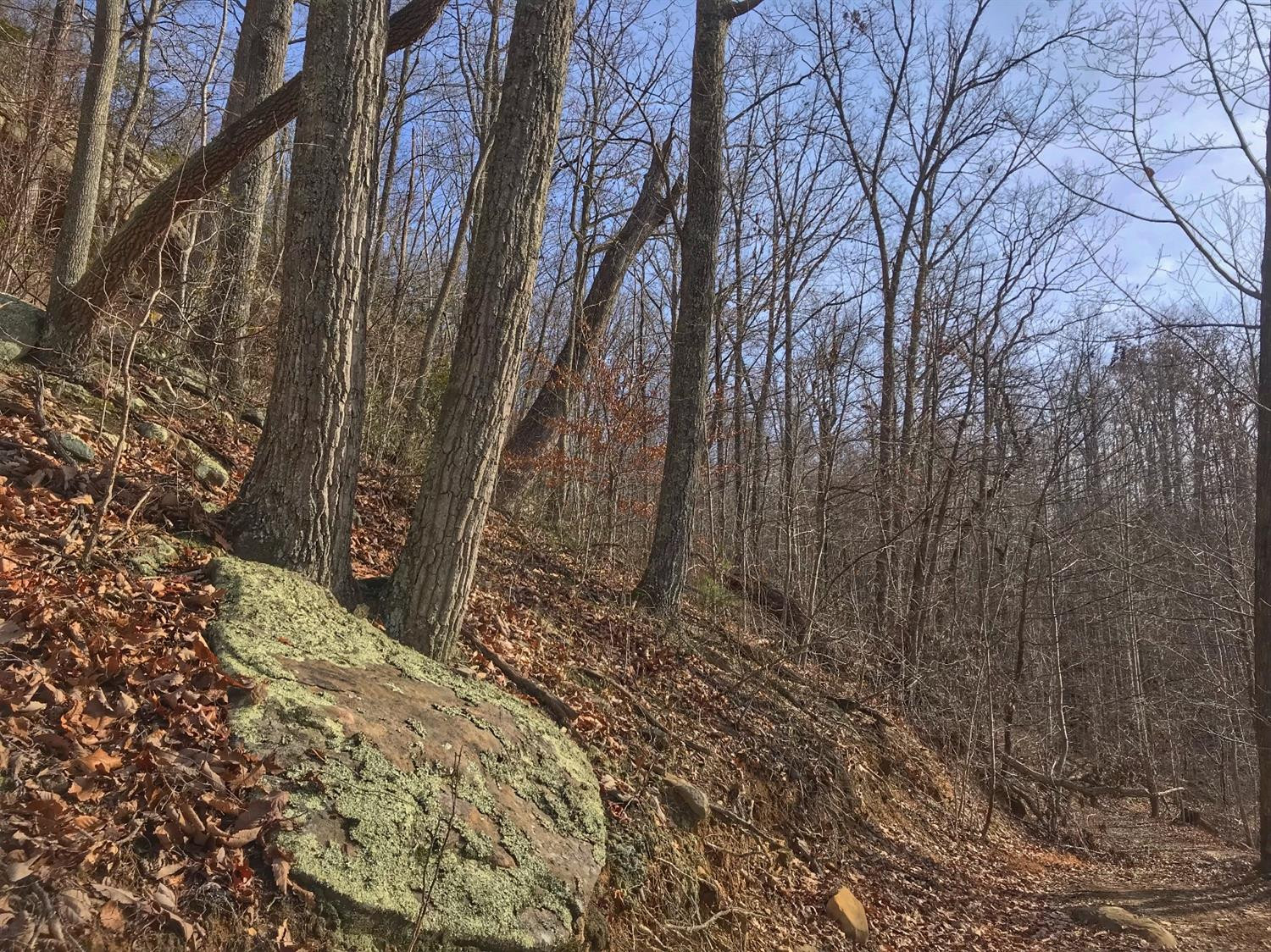 2 Otter Creek Road Manchester, KY 40962 - Photo 27 of 51 Photo 27