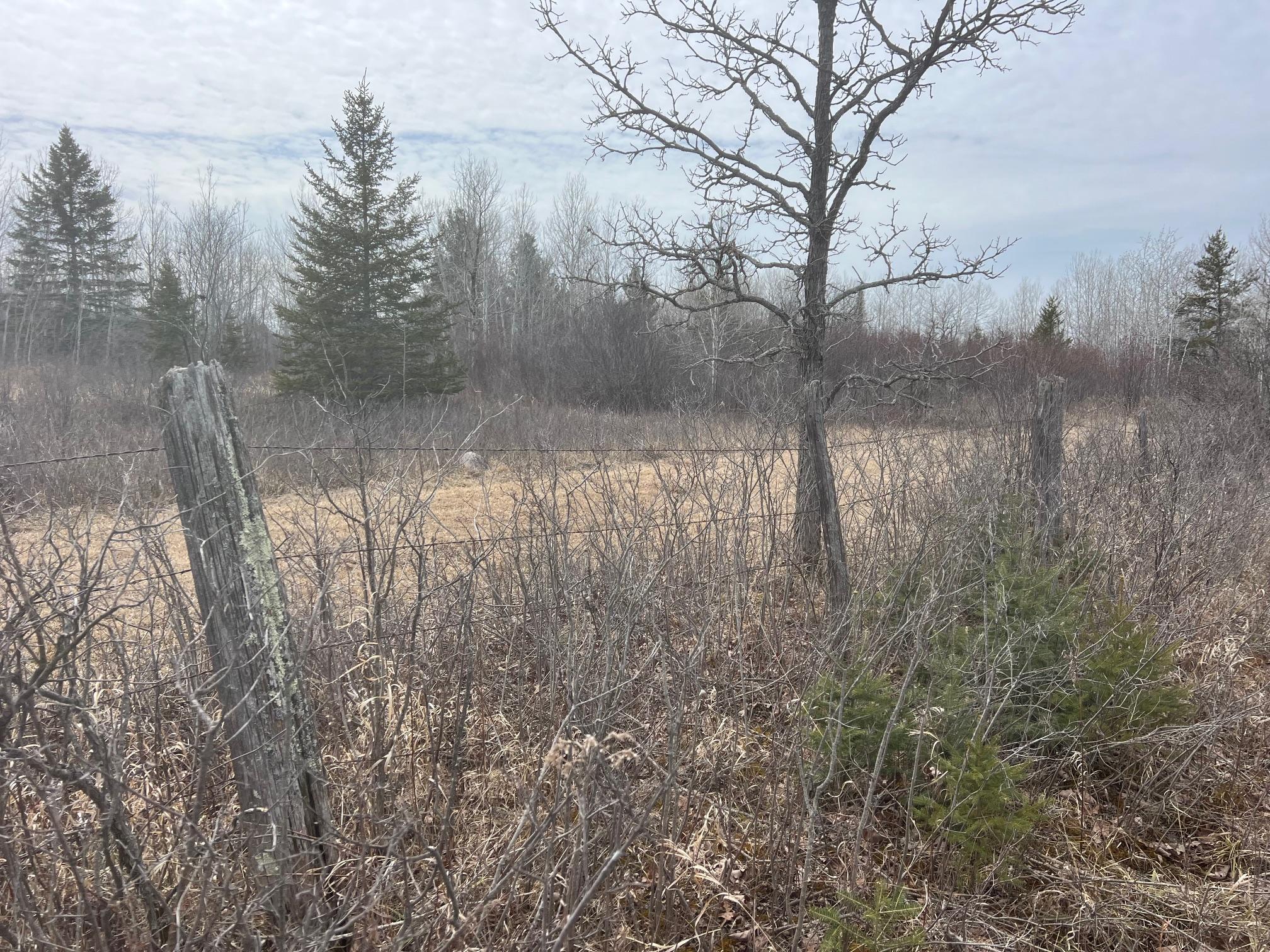 Tbd Lund Road East Maple, WI 54854 - Photo 25 of 28