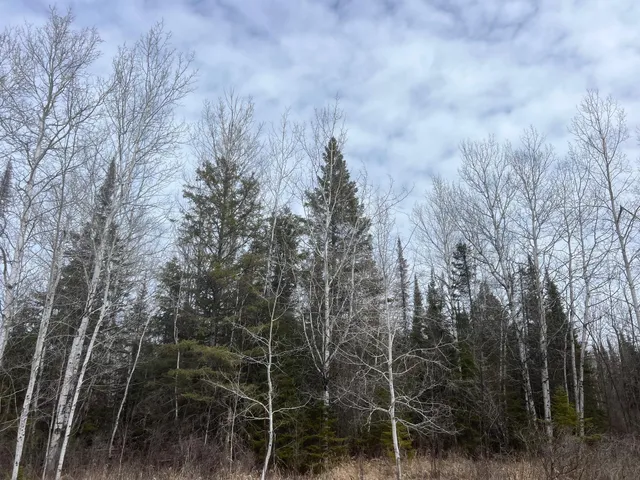 $179,900 | Tbd Lund Road East, Maple, WI 54854