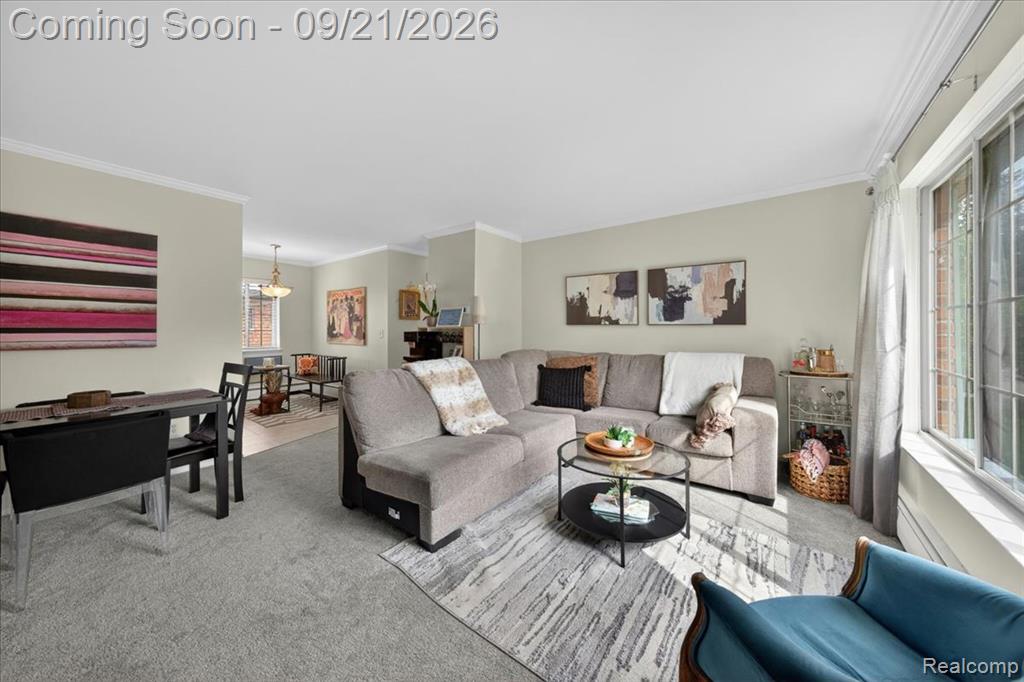 454 Romeo Road, Unit 226 Rochester, MI 48307 - Photo 15 of 29 Gallery Image 15