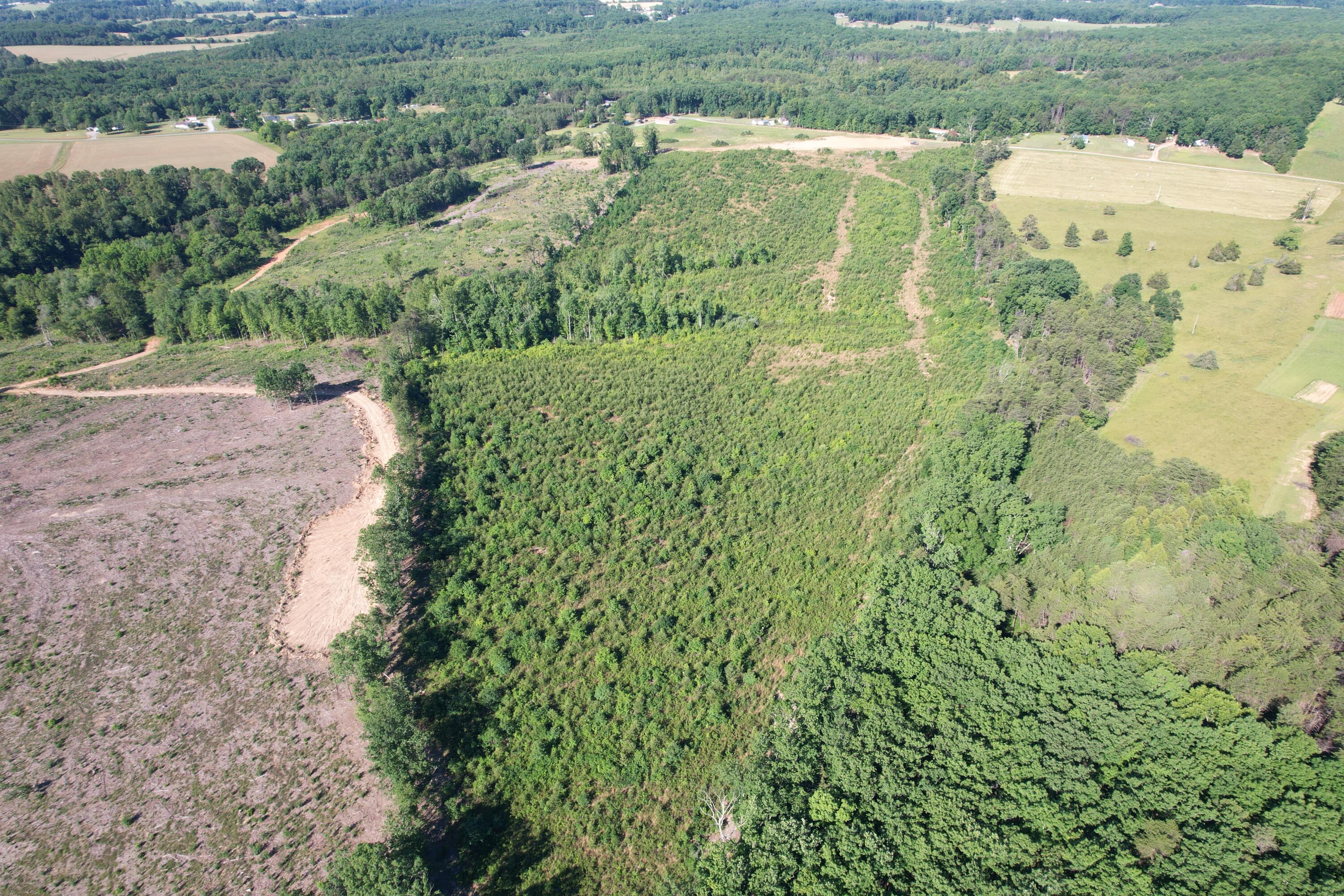 0 Georges Creek Road Gretna, VA 24557 - Photo 8 of 18 DJI_0525