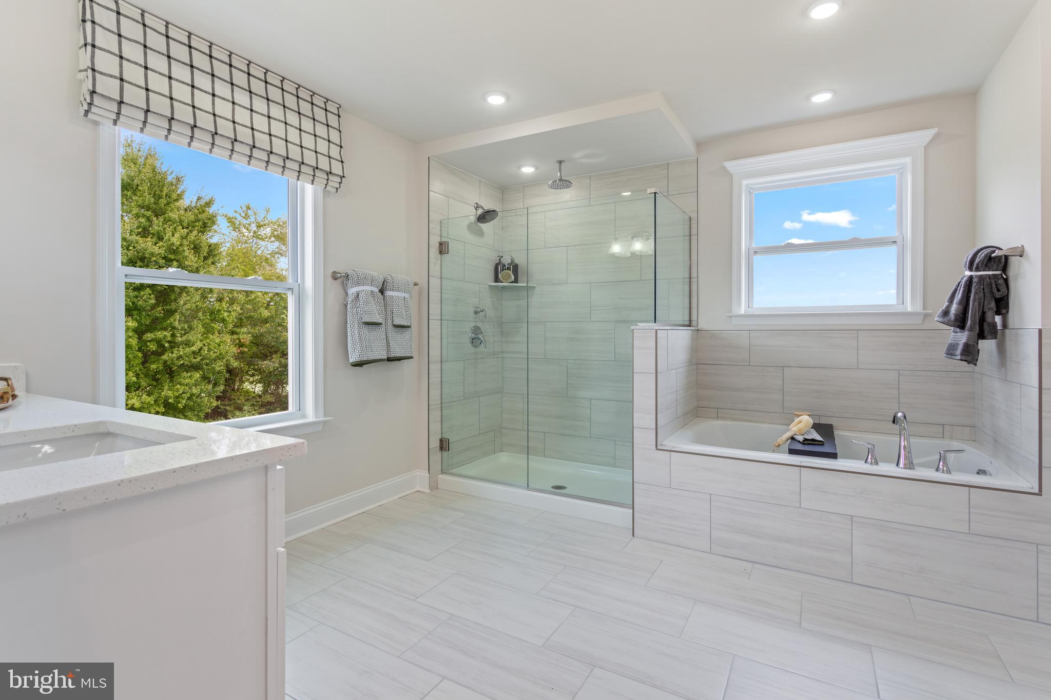 2 Bell Mare Lane Rixeyville, VA 22737 - Photo 16 of 19 a bathroom with a bathtub and a shower