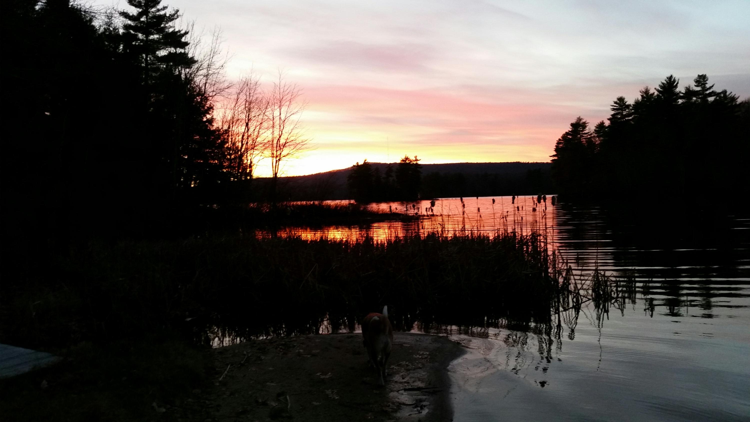 7 Max Pine Road Poland, ME 04274 - Photo 8 of 58 max pine sunset