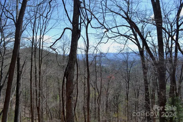 $199,000 | Lot 9 Town Mountain Road, Asheville, NC 28804