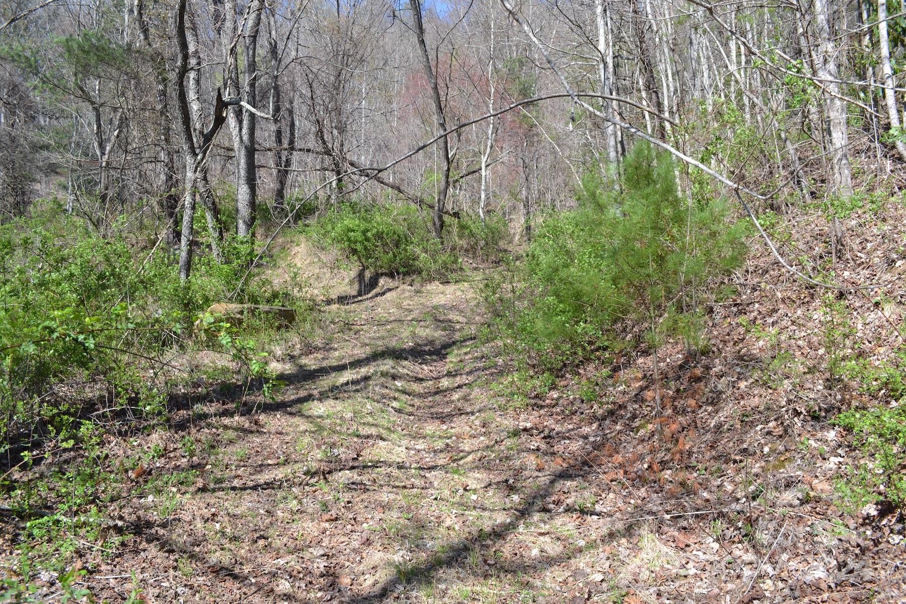 Lot 9 Town Mountain Road Asheville, NC 28804 - Photo 11 of 16