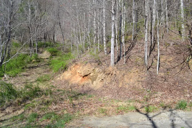 $199,000 | Lot 9 Town Mountain Road, Asheville, NC 28804