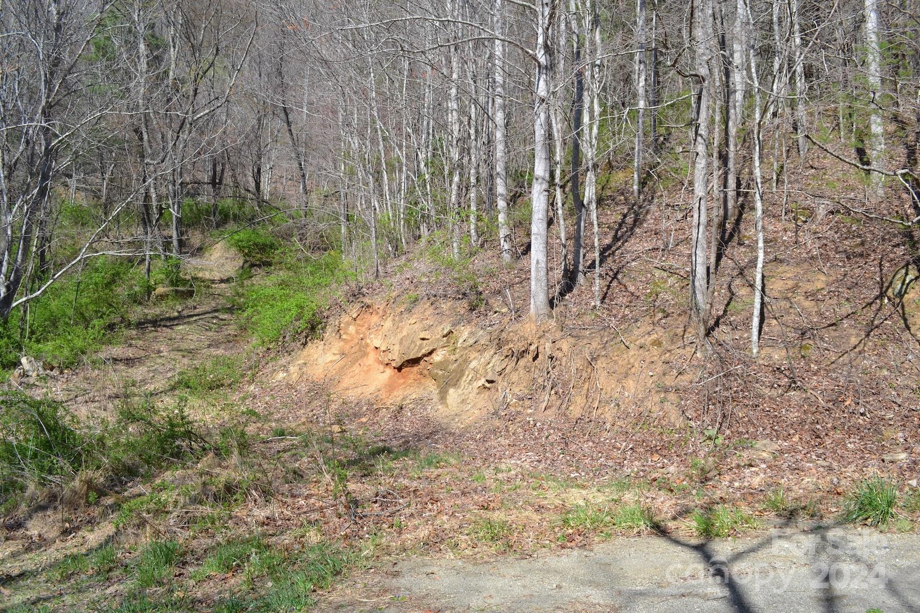 Lot 9 Town Mountain Road Asheville, NC 28804 - Photo 12 of 16