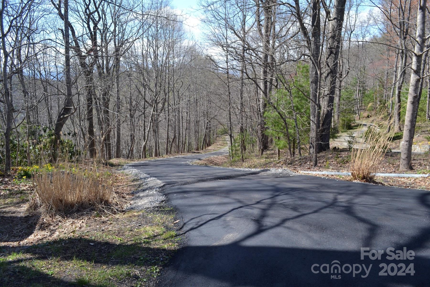Lot 9 Town Mountain Road Asheville, NC 28804 - Photo 14 of 16