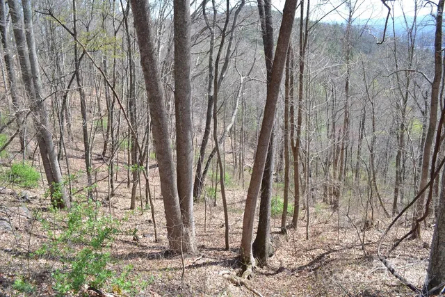 $199,000 | Lot 9 Town Mountain Road, Asheville, NC 28804