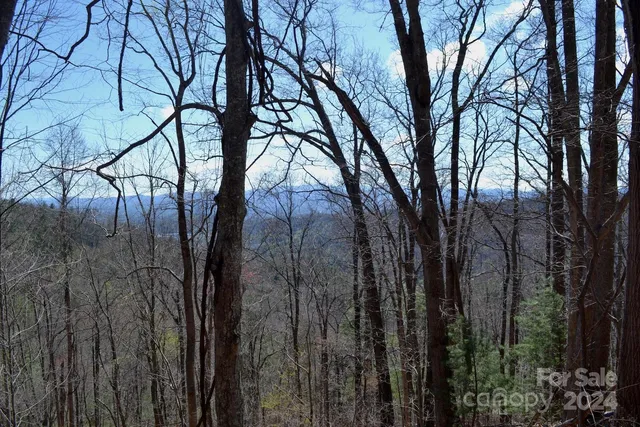$199,000 | Lot 9 Town Mountain Road, Asheville, NC 28804
