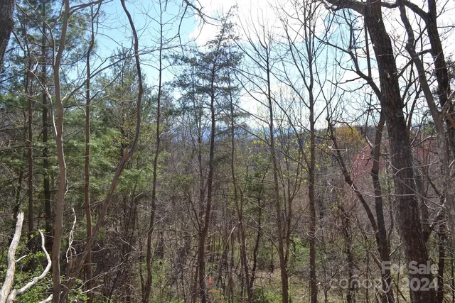 $199,000 | Lot 9 Town Mountain Road, Asheville, NC 28804