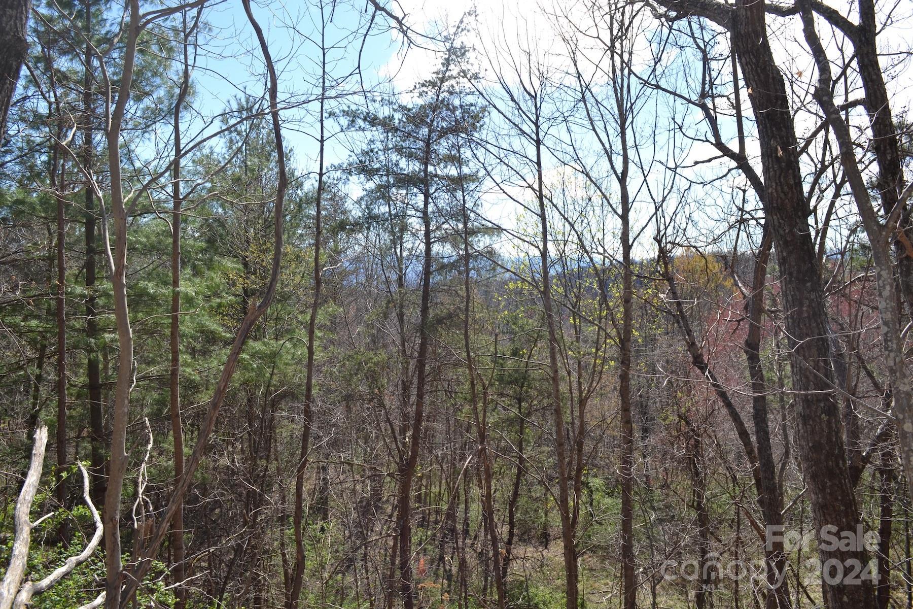 Lot 9 Town Mountain Road Asheville, NC 28804 - Photo 5 of 16